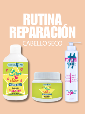 Rutina Reparación